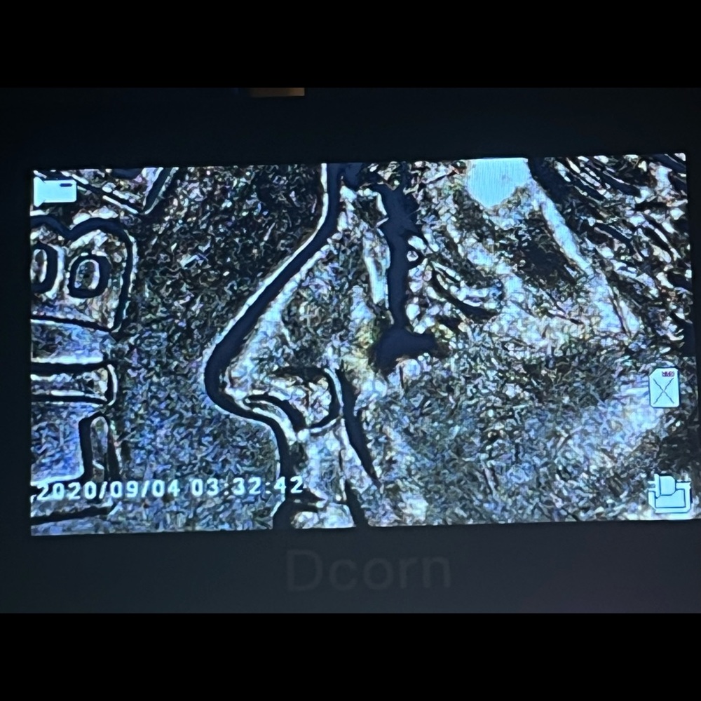 COPY - Coin microscope - Picture 3 of 3
